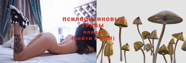 гидра Усмань