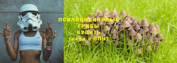 альфа пвп Усолье-Сибирское