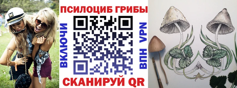 Купить где  Нестеровская  Галлюциногенные грибы ЛСД 