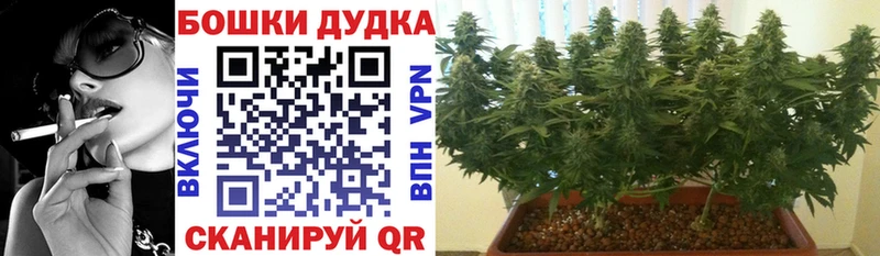 Бошки марихуана тримм  Купить  Нестеровская 